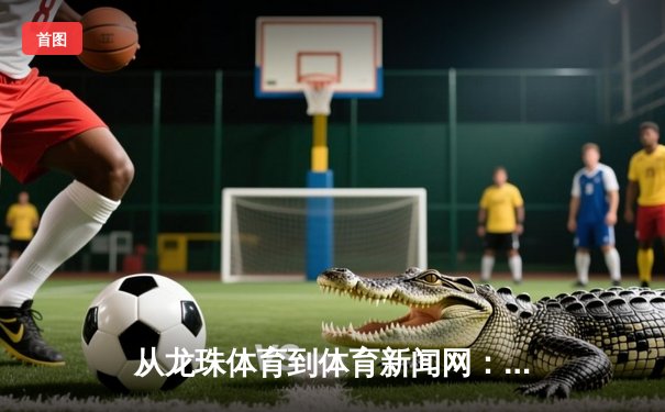 从龙珠体育到体育新闻网：数字时代体育传播的变革与坚守